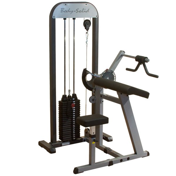 Pro Select Biceps And Triceps Machine GCBT-STK