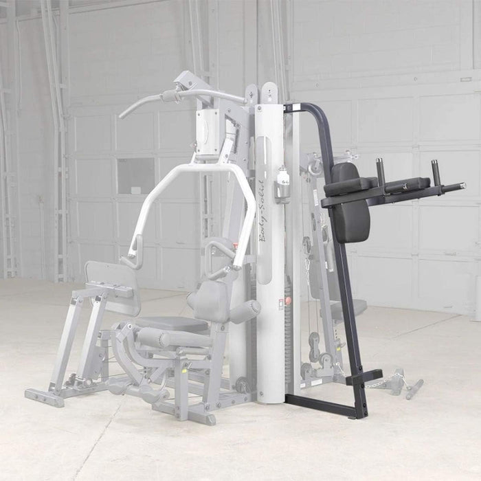 Vertical Knee Raise and Dip Station GKR9 for G9S